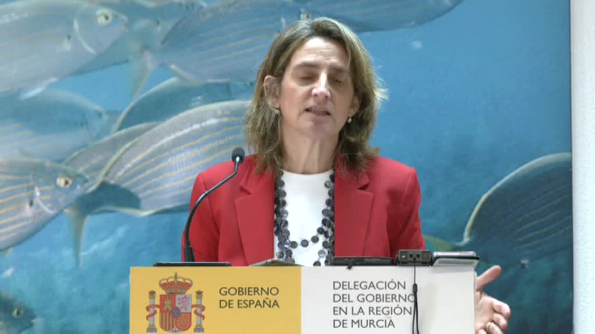 El Gobierno recurrirá al Constitucional la legalización de regadío en Doñana si el PP sigue adelante