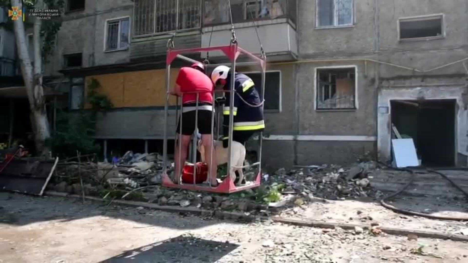 Rescatan a un perro entre los escombros en Mykolaiv