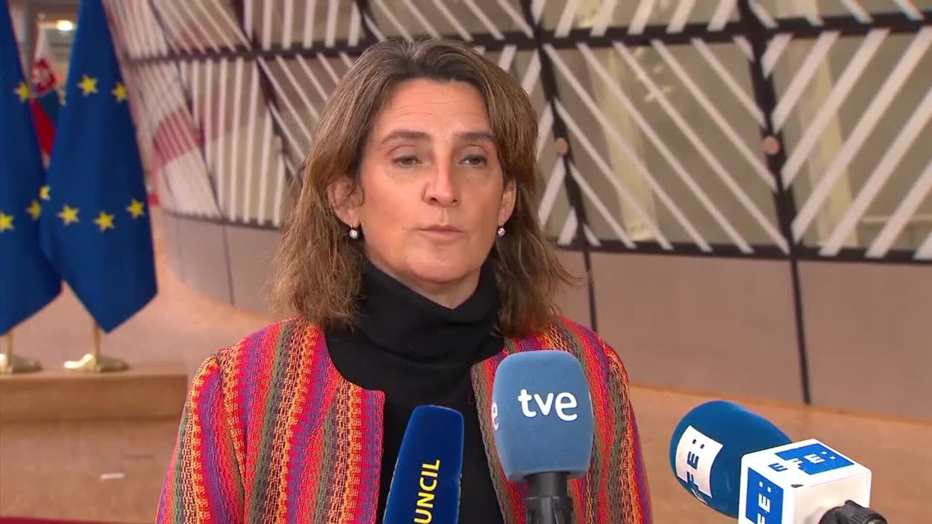 Ribera insiste en una reforma del mercado eléctrico en Europa