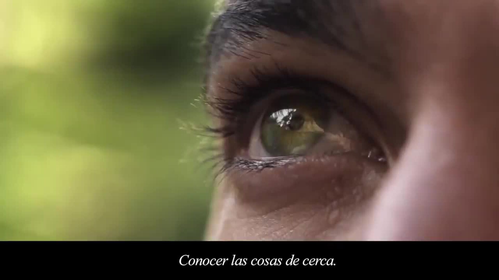 Diputación de Málaga presenta la campaña para promocionar la Sierra de las Nieves