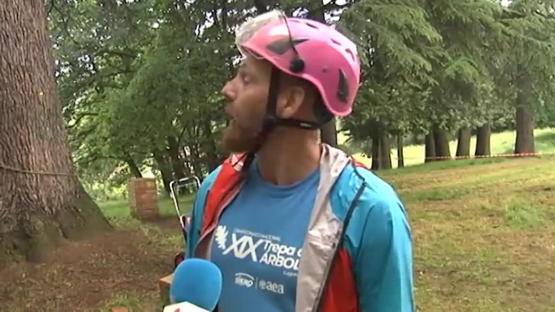 La trepa de árboles busca fomentar el cuidado de uno de nuestros grandes aliados