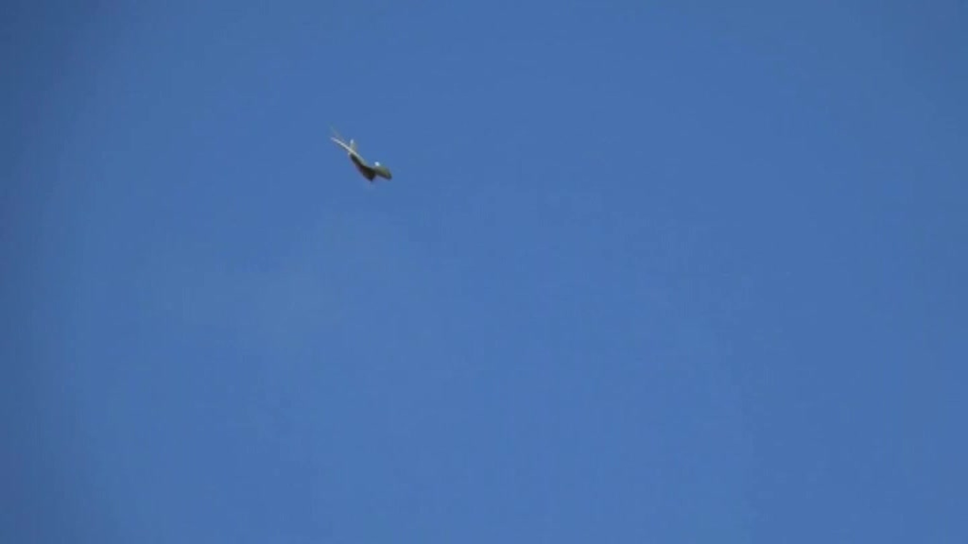 Un robot alado que imita el vuelo de las aves inspirará la próxima generación de robots