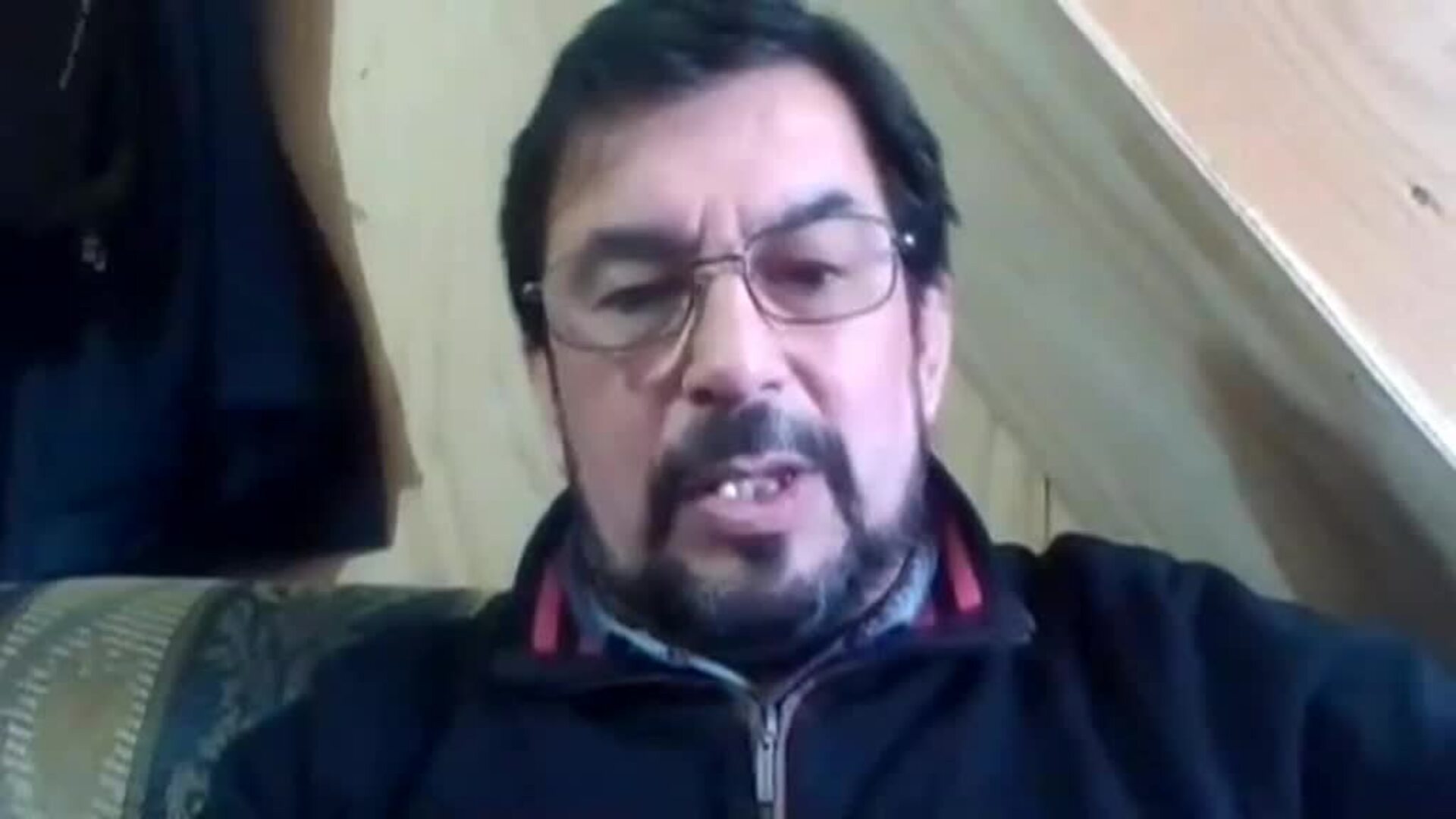 Localizan en Chile una especie de rana que consideraban desaparecida desde hace 80 años