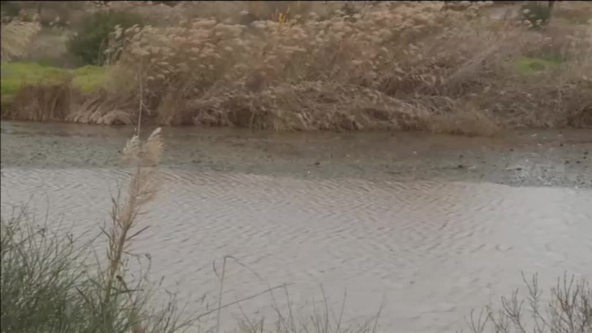 La policía toma declaración a los amigos de Pablo para reconstruir sus pasos después del hallazgo de sangre en el móvil