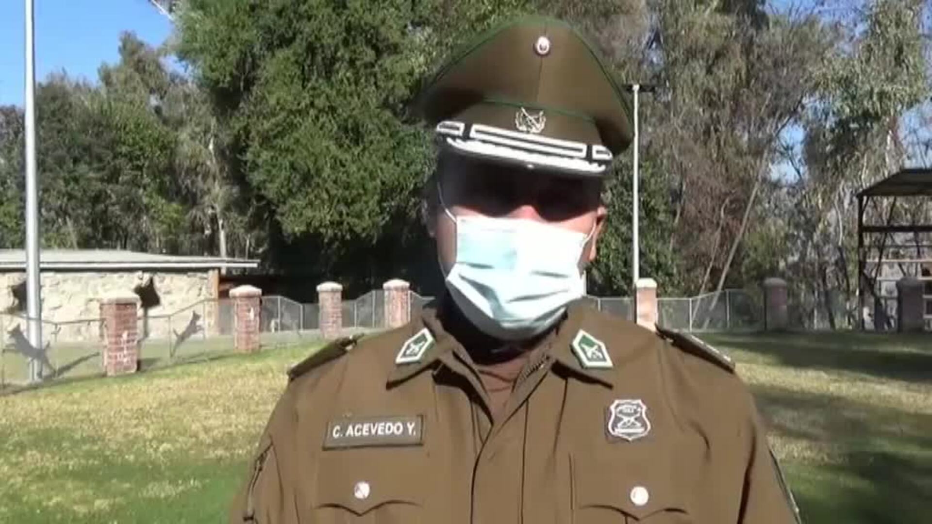 Los perros chilenos que se preparan para detectar el coronavirus