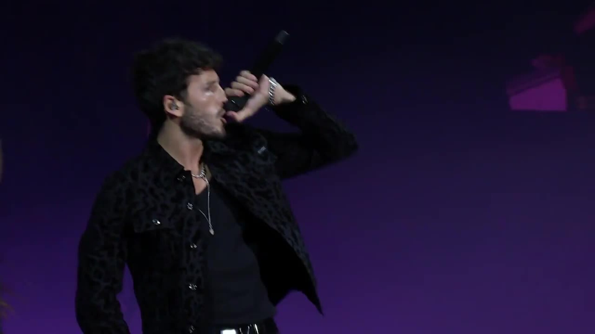 Corona de chimeneas | Diario Sur