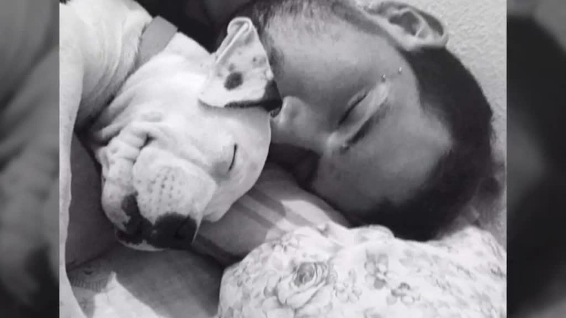 La muerte a dentelladas de un joven reabre el debate sobre las razas potencialmente peligrosas