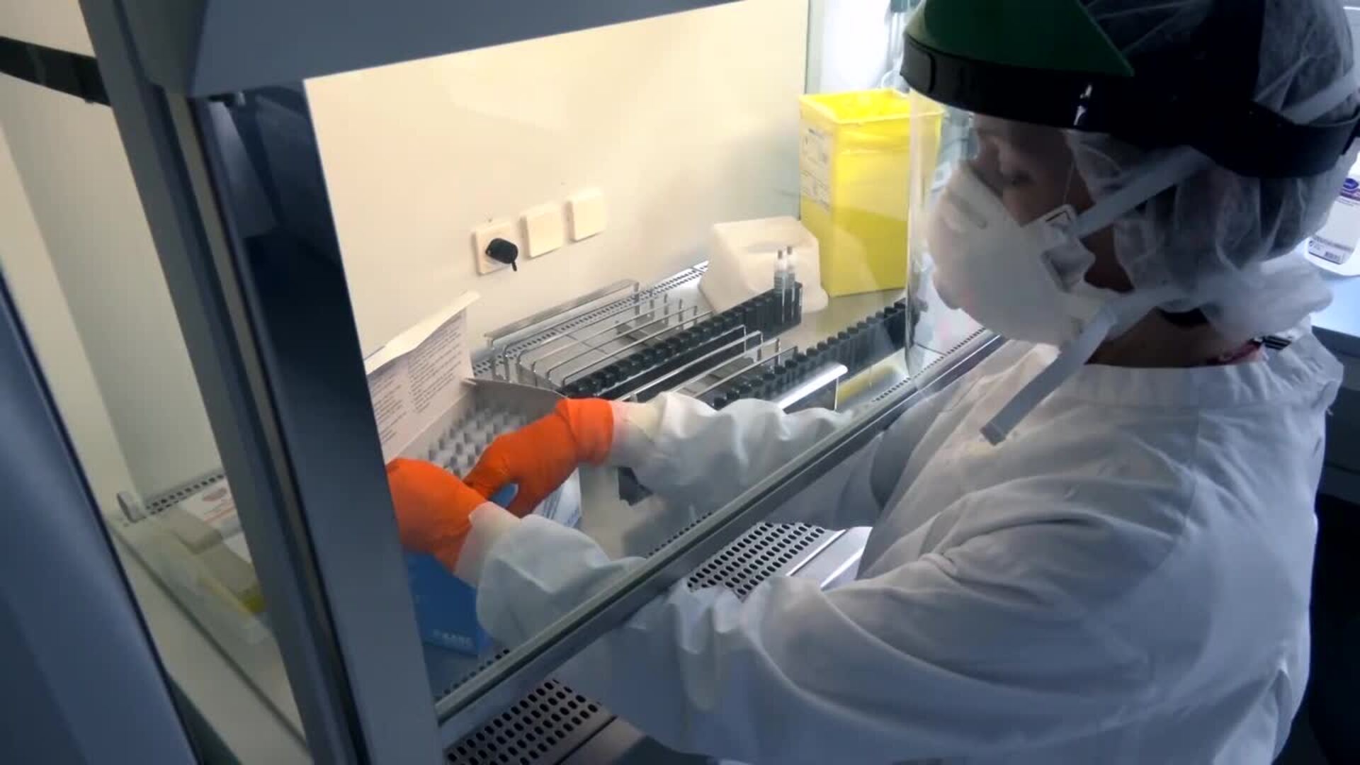 Hoy se celebra el Día Internacional de la Mujer y la Niña en la Ciencia