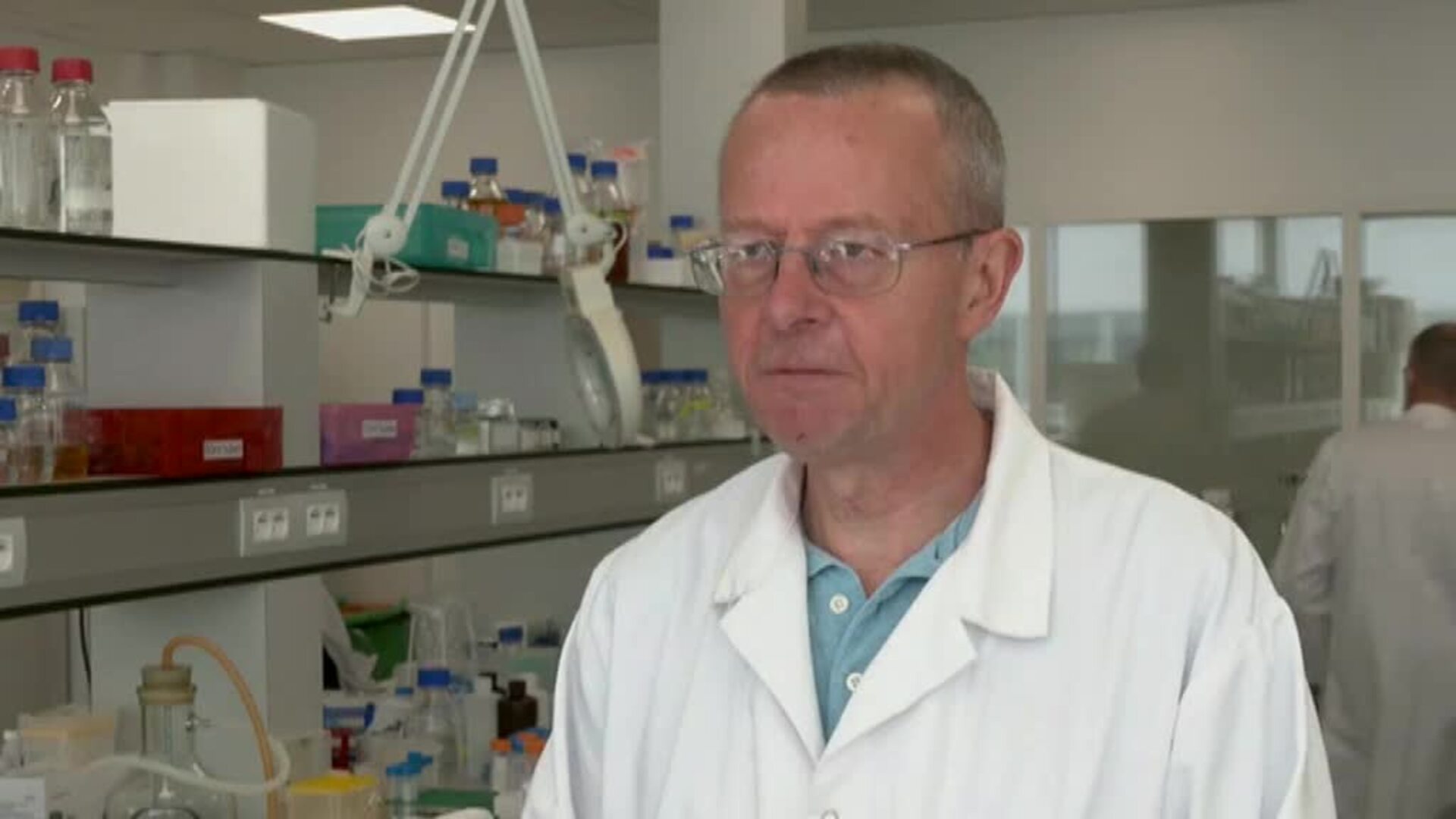 Las llamas, posible solución contra el coronavirus