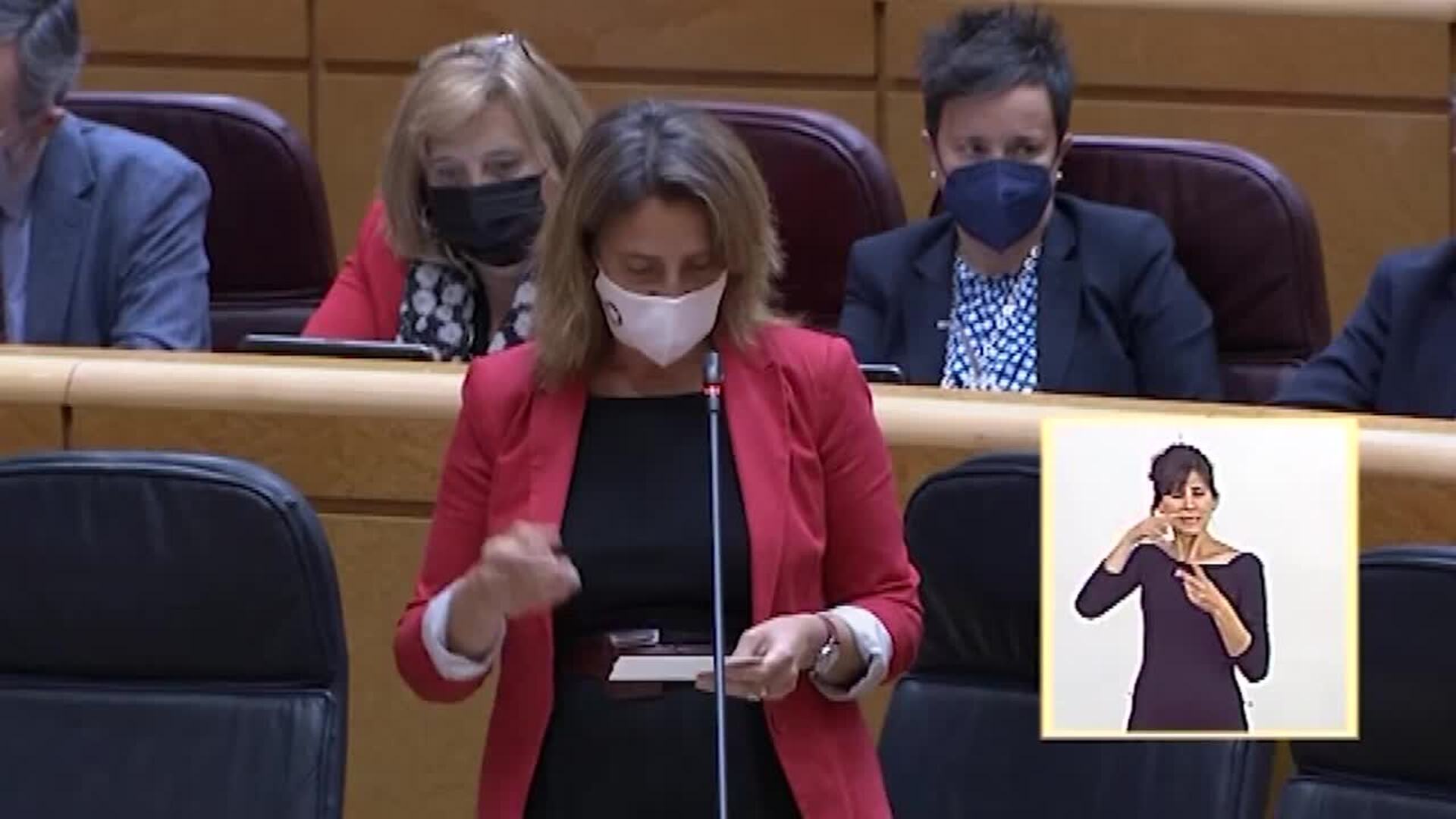 Gobierno pide a la CNMC vigilar el parón de las renovables