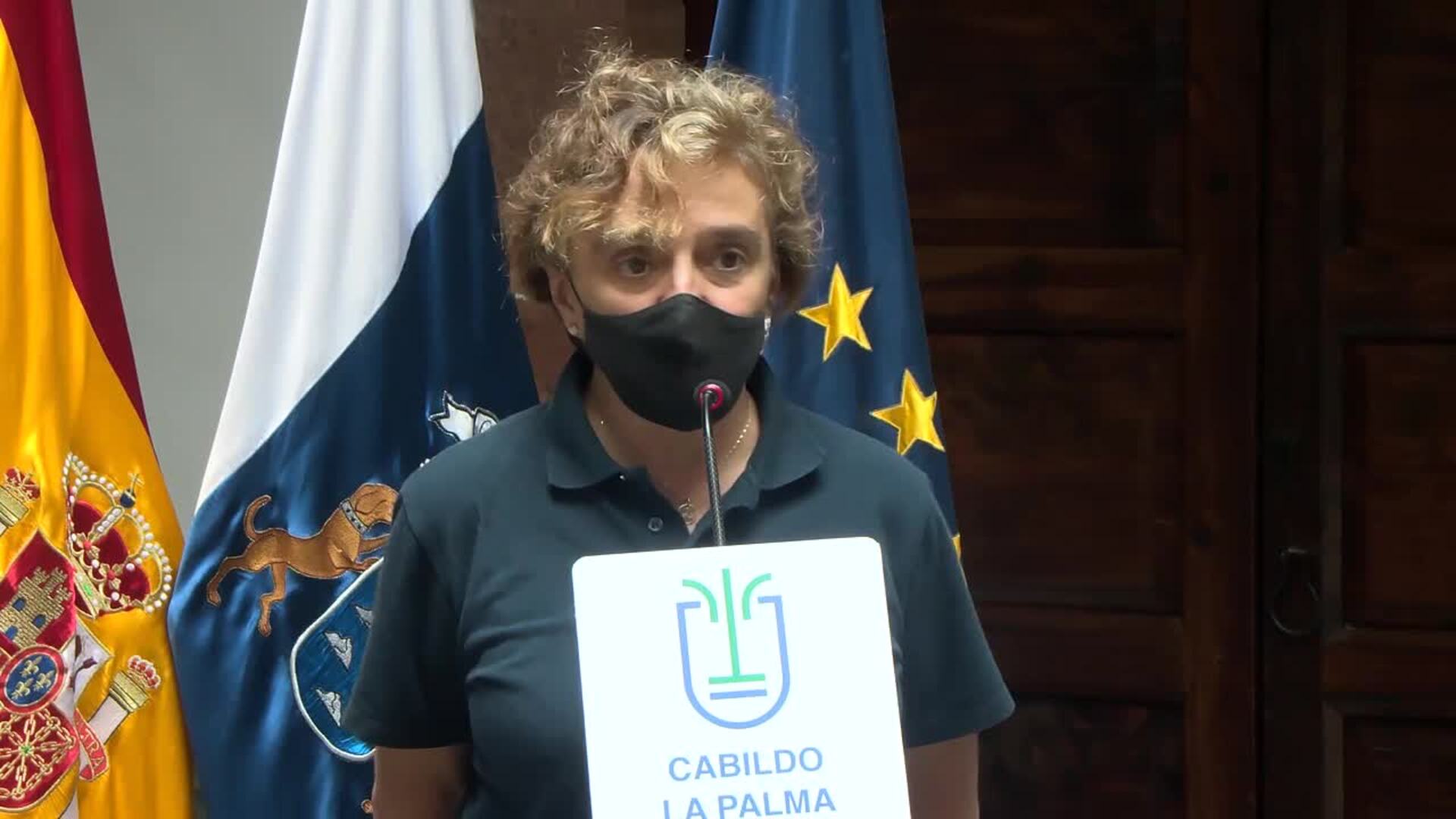 Cumbre Vieja sigue en fase estable