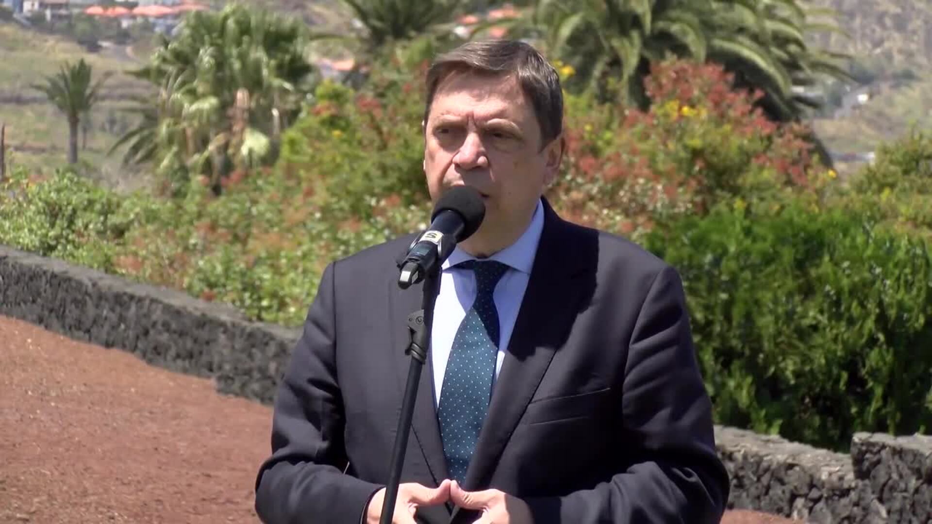 Planas reafirma su compromiso con el plátano de Canarias