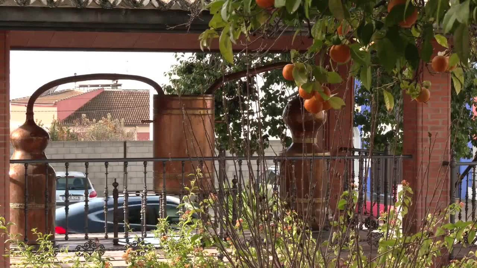 El Bélen de chocolate más grande del Mundo está en Rute (Córdoba)