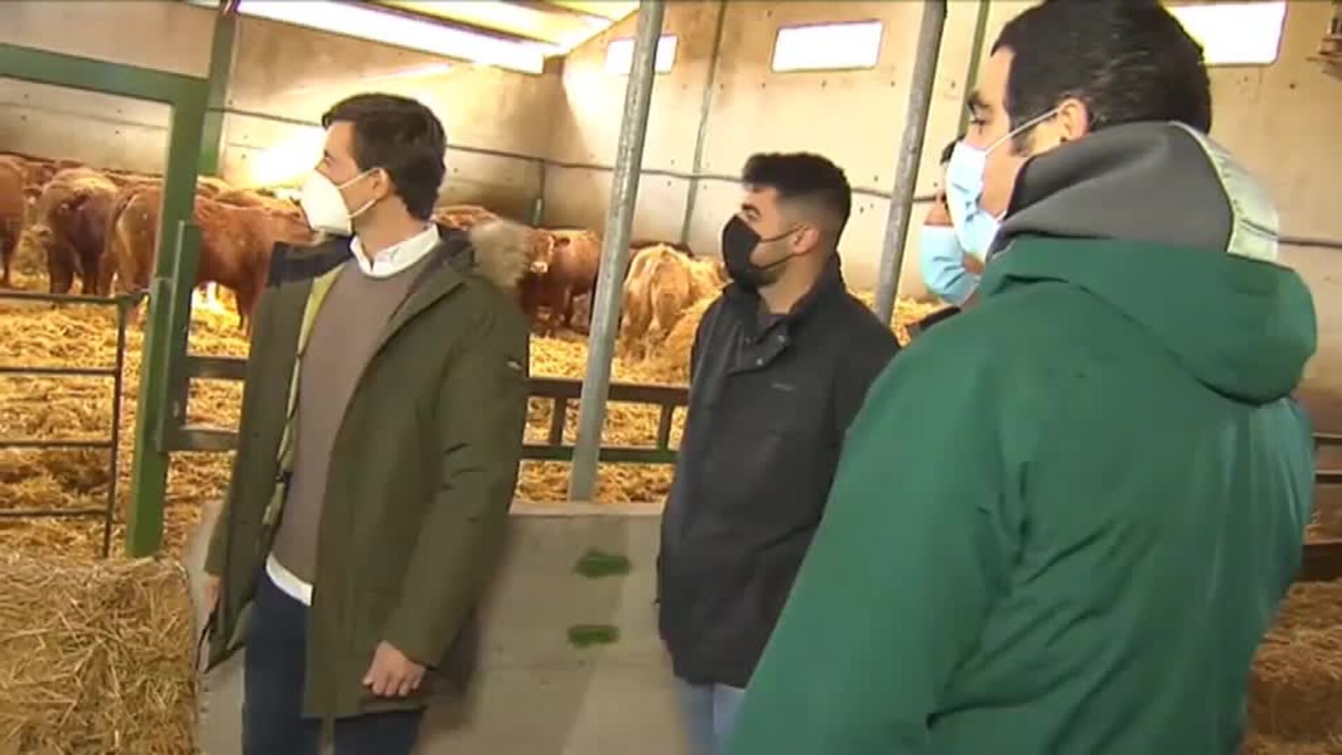 La polémica de las macrogranjas eclipsa el arranque de la precampaña electoral en Castilla y León