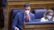 Pedro Sánchez 'olvida' su promesa de «traer» a Carles Puigdemont