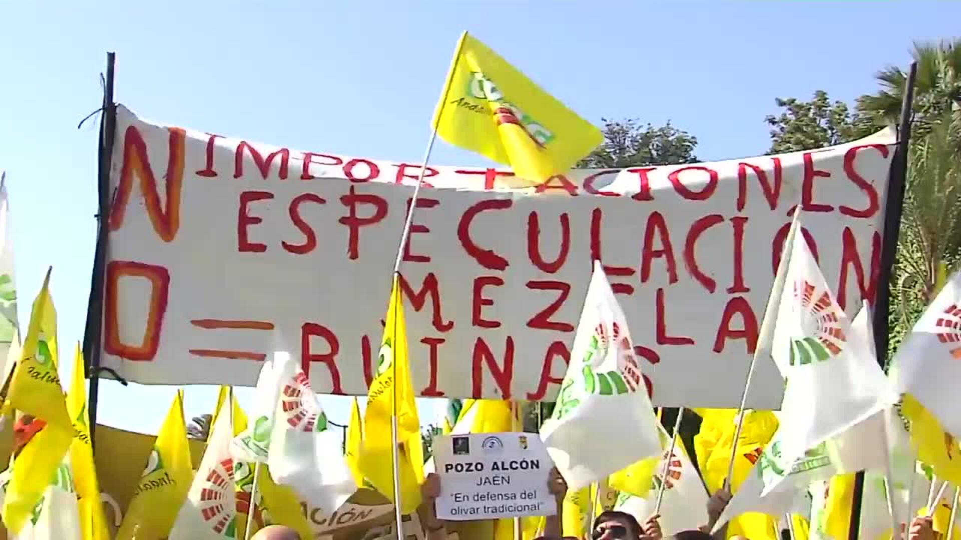 Miles de olivareros andaluces exigen un precio justo del aceite