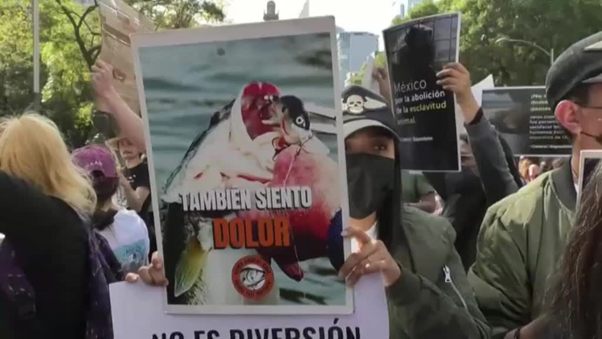 Cientos de personas en México toman las calles en defensa de los derechos de los animales