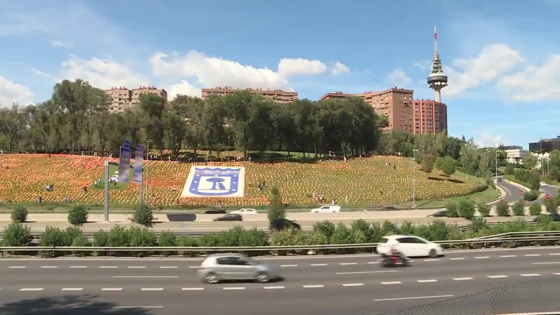 Colocan 53.000 banderas de España frente a M-30 como homenaje a fallecidos