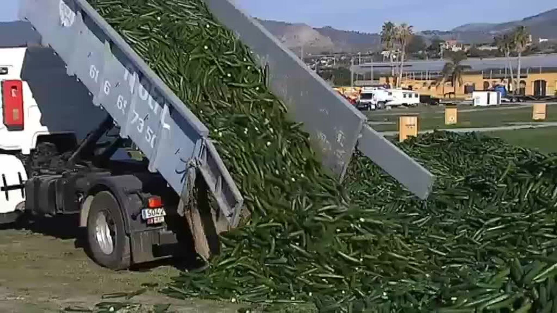 Fernández Vara pide a Trabajo analizar la relación entre el aumento del paro agrícola en Extremadura y la subida del SMI