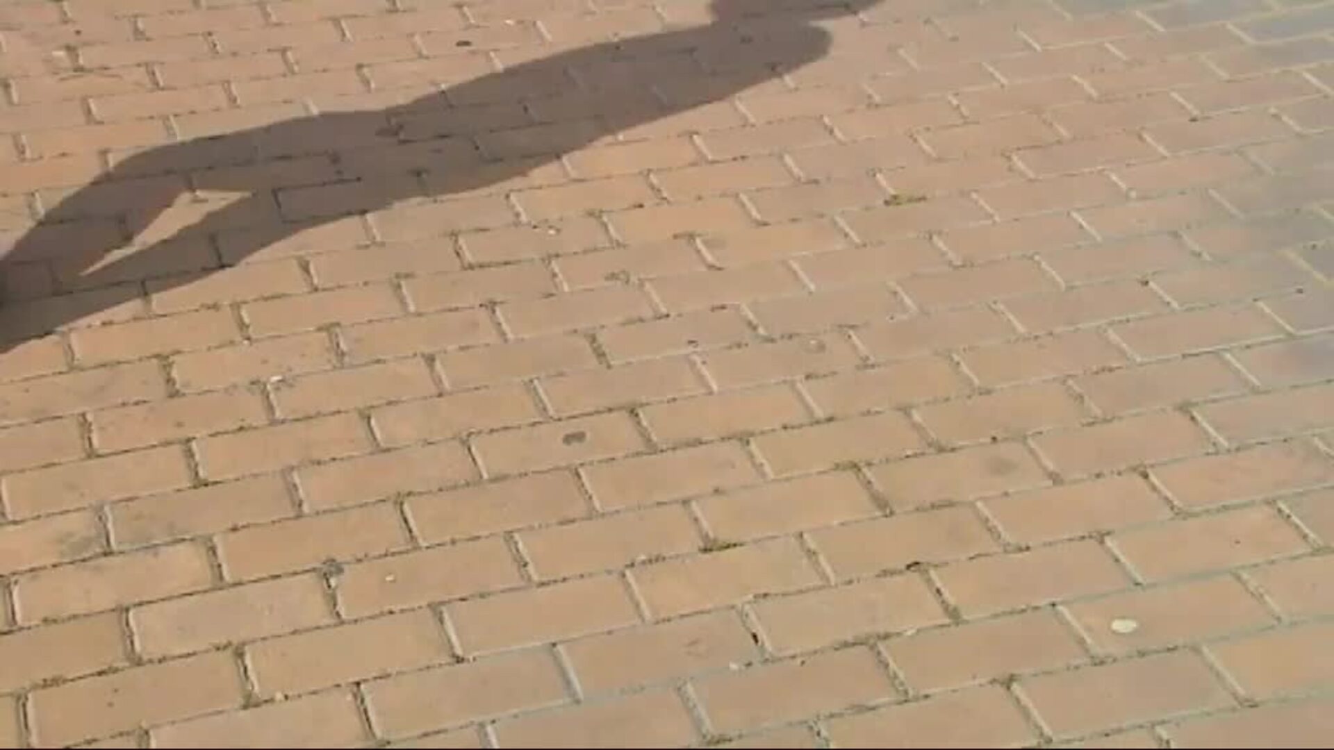 Igualdad reconoce el derecho a cambiar de sexo sin informe ni consentimiento a partir de los 16 años