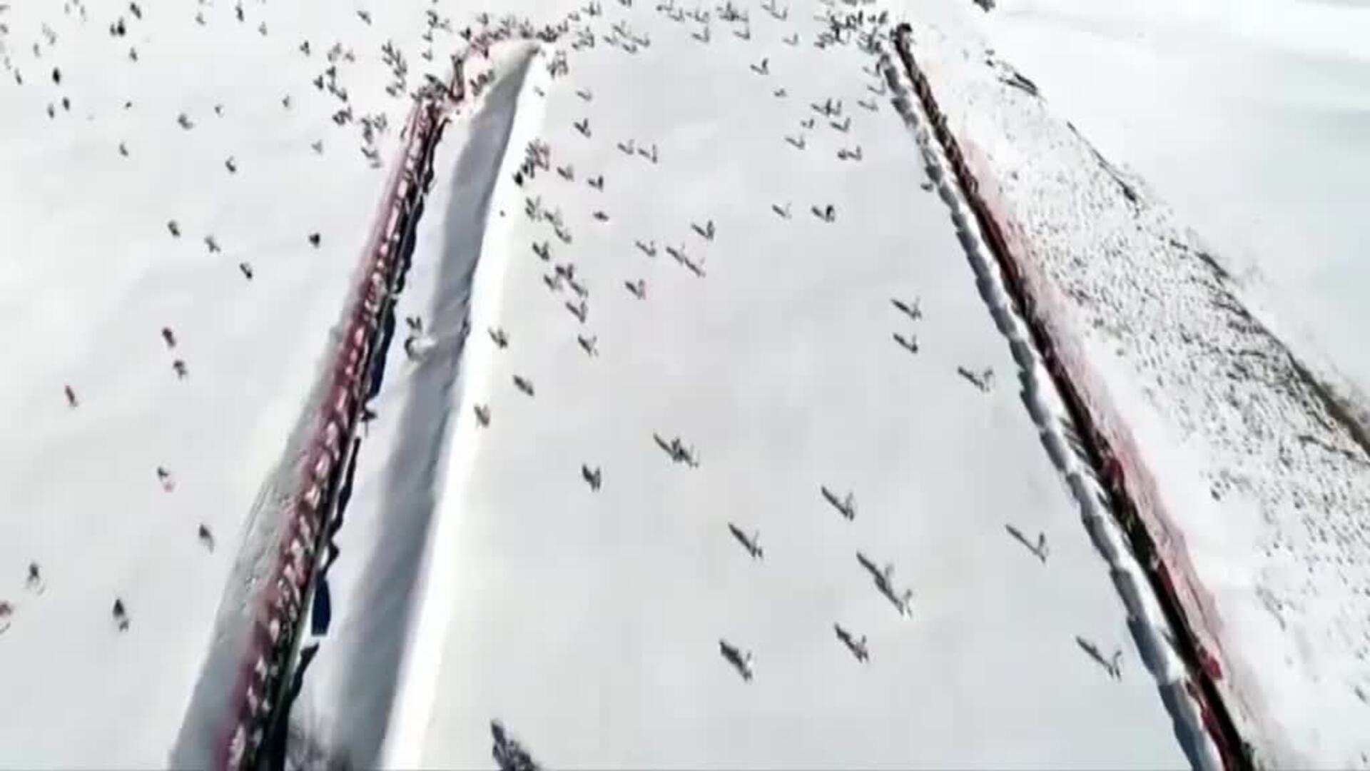 China gana la batalla económica al coronavirus