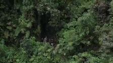 Ecuador amplía red de áreas para la conservación de biodiversidad con la Reserva Drácula