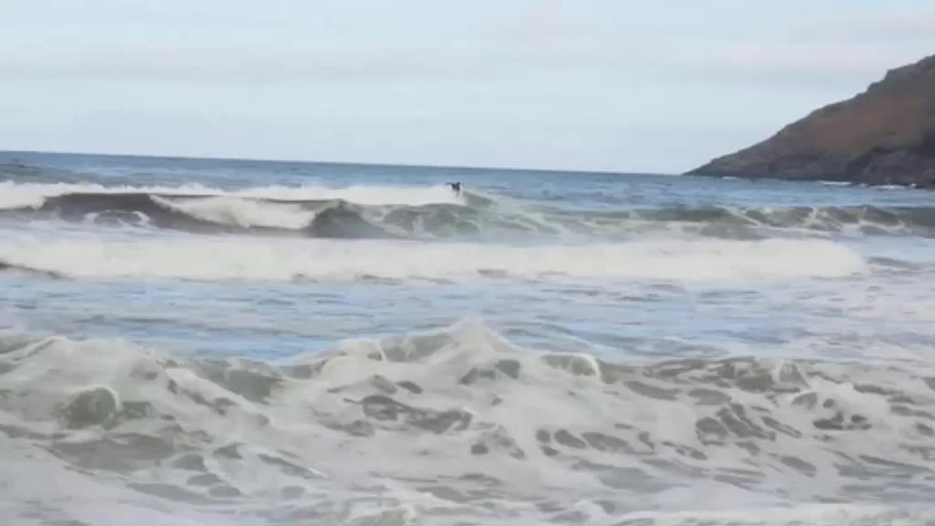 La increible sensación de surfear más allá del Círculo Polar Ártico