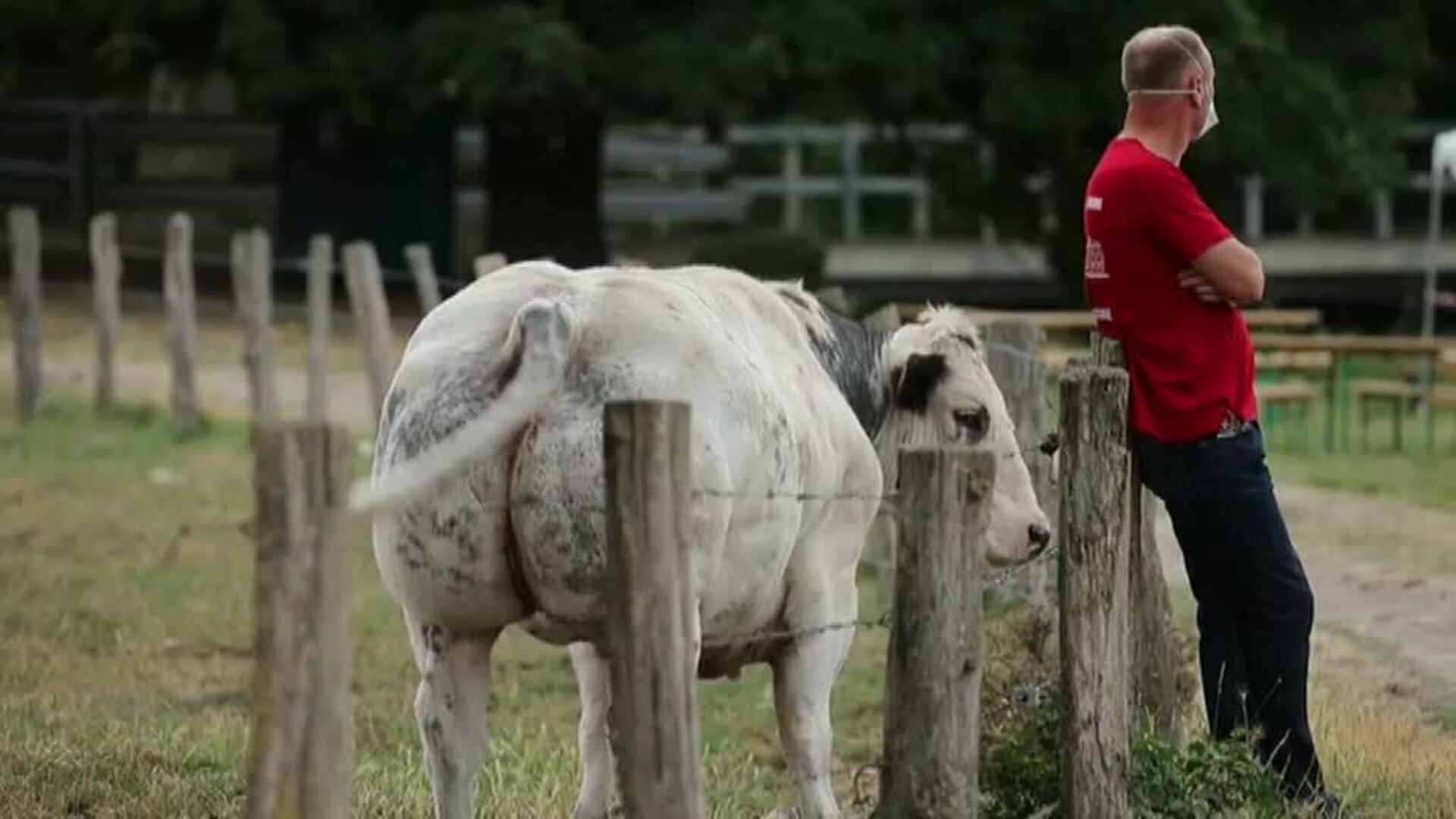Espectáculo musical clásico sobre el lago de Ricquebourg
