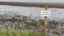 Doñana recupera sus principales lagunas, aunque las lluvias llegaron tarde para invernada