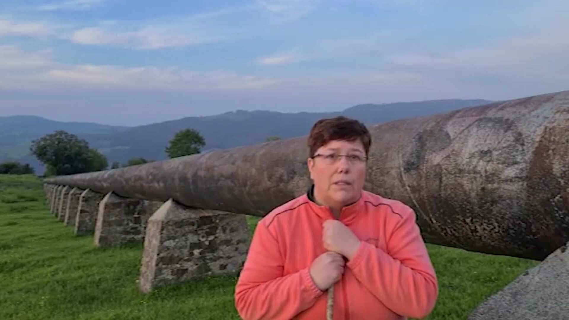 La Plataforma en Defensa de la Gestión del Lobo anuncia protesta el 6 de junio