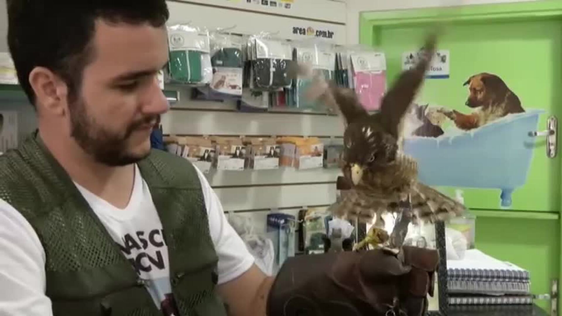 Crean prótesis personalizadas para animales