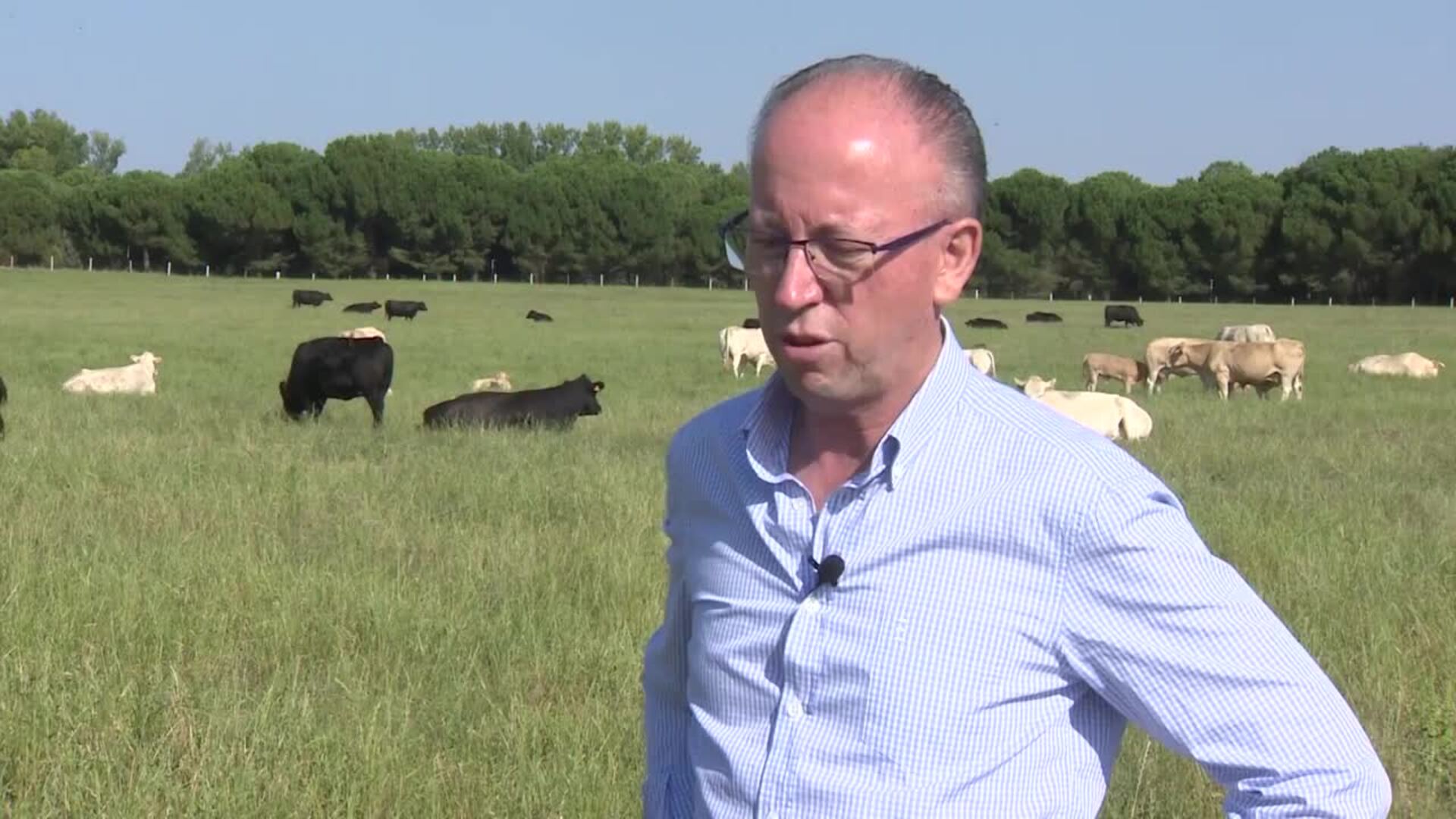 La empresa cárnica Grupo Miguel Vergara, pyme del año en Valladolid