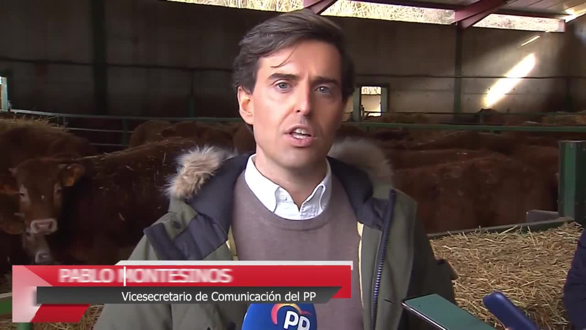Sánchez pide al PP apoyar la reforma laboral y la oposición exige el cese de Garzón