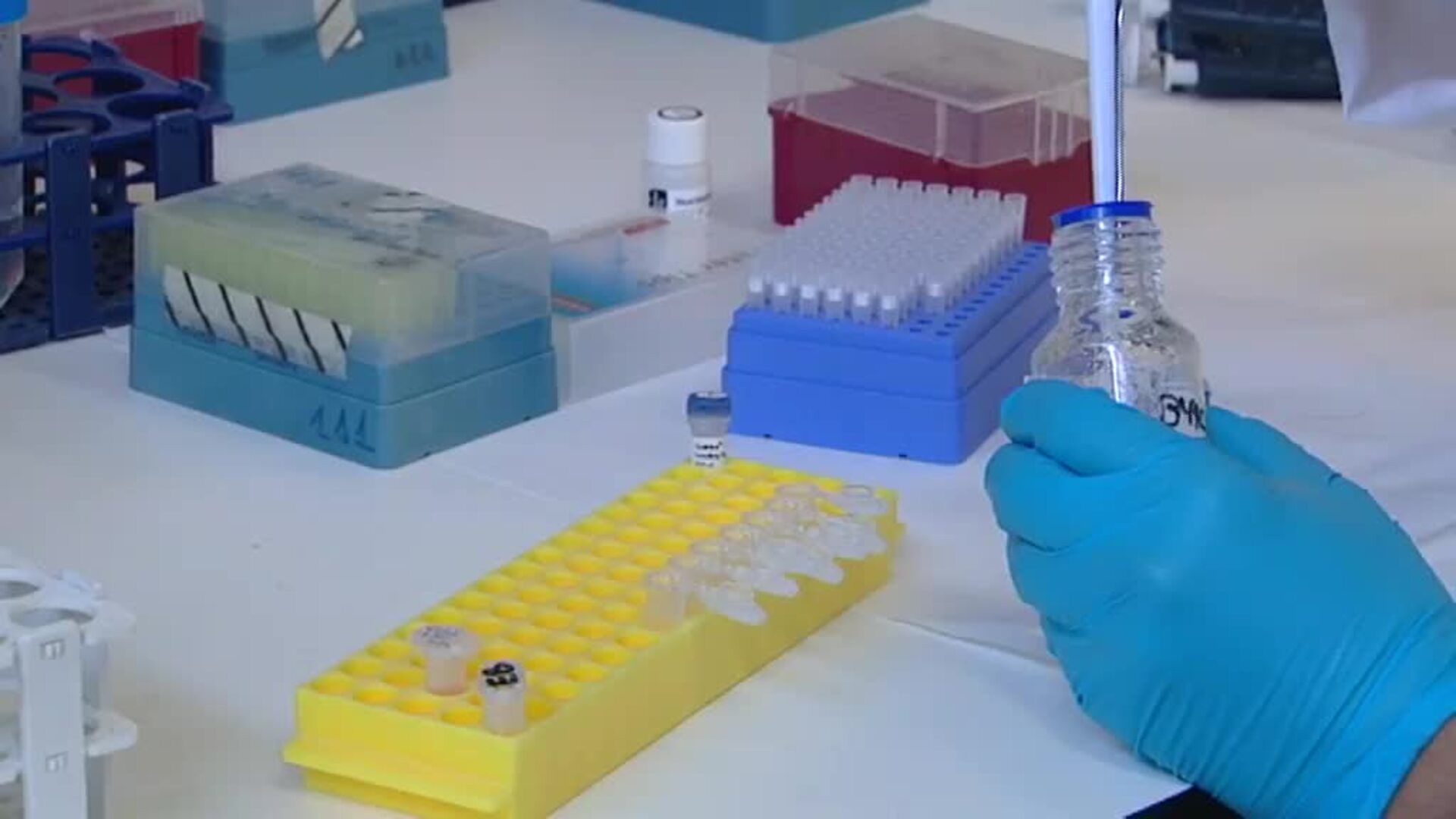 Nueva era en la ciencia: se logra la primera secuencia completa del genoma humano