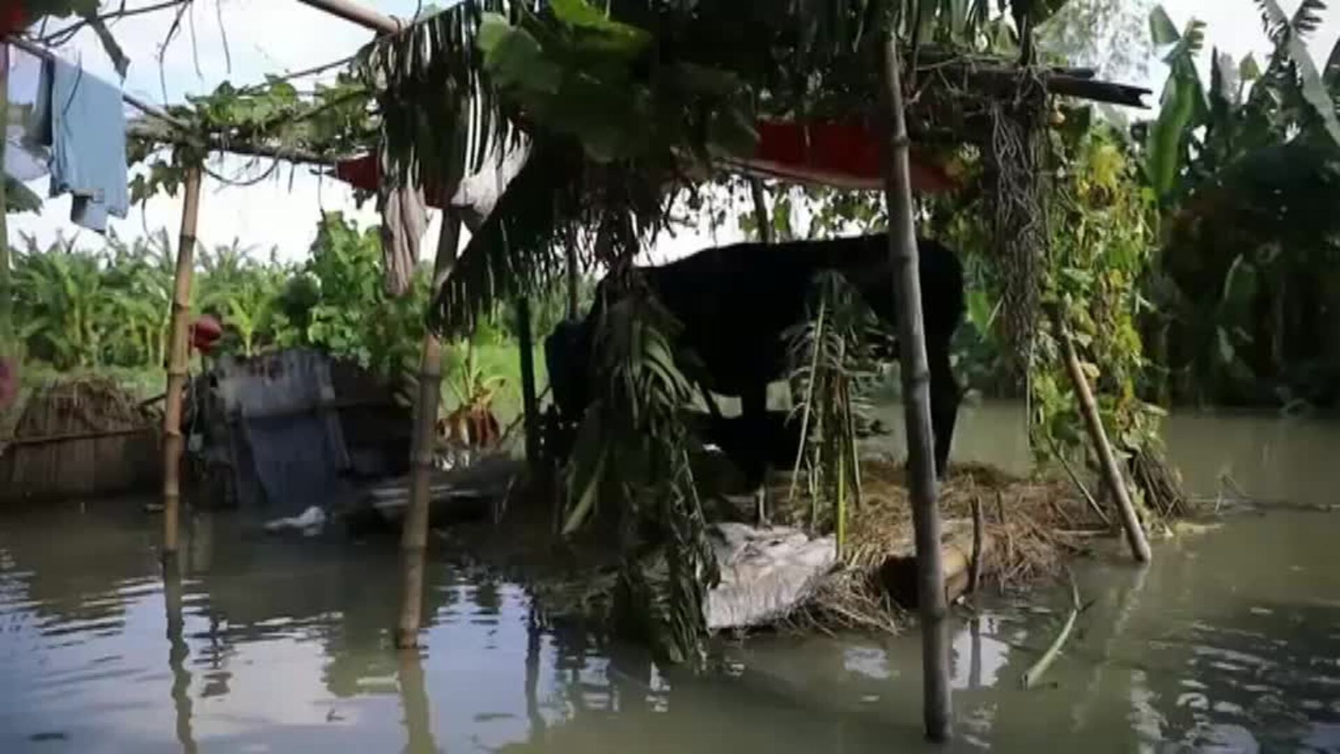 La pandemia y las inundaciones sitúan a Bangladés al borde de una grave crisis humanitaria