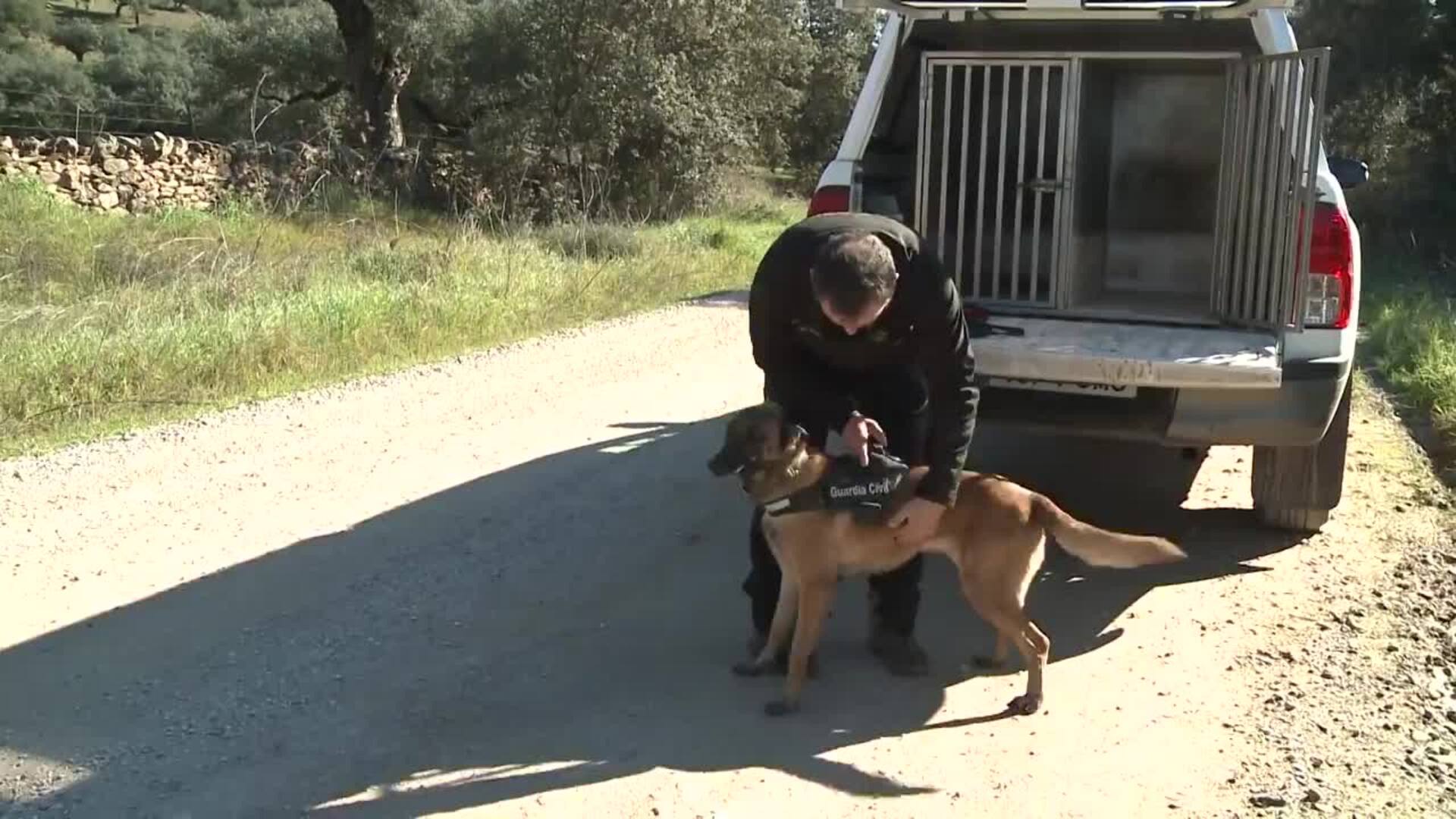 Guardia Civil busca a un hombre desaparecido en Oliva de la Frontera
