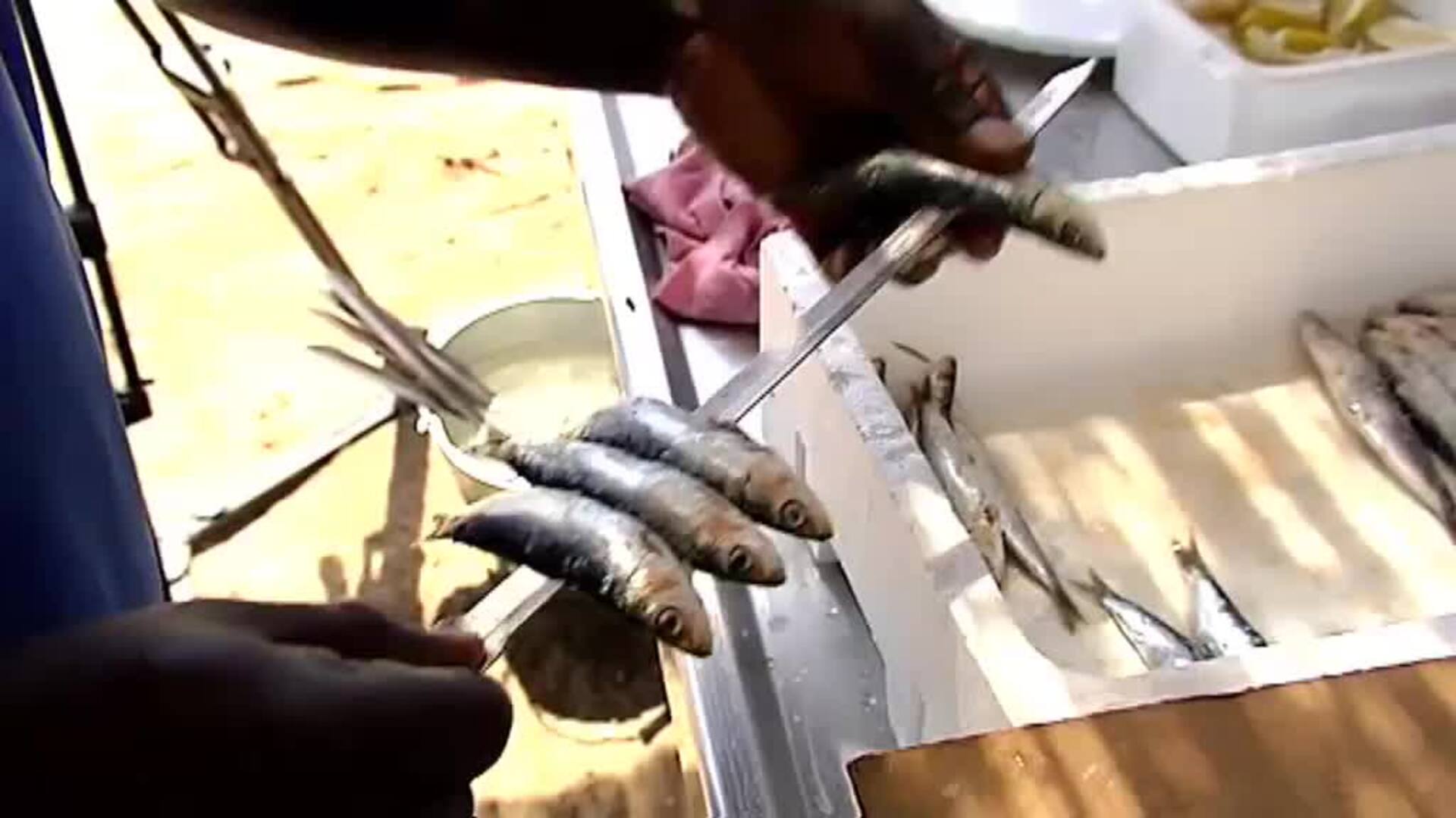 Peligro de extinción para los espetos en algunas playas de Granada