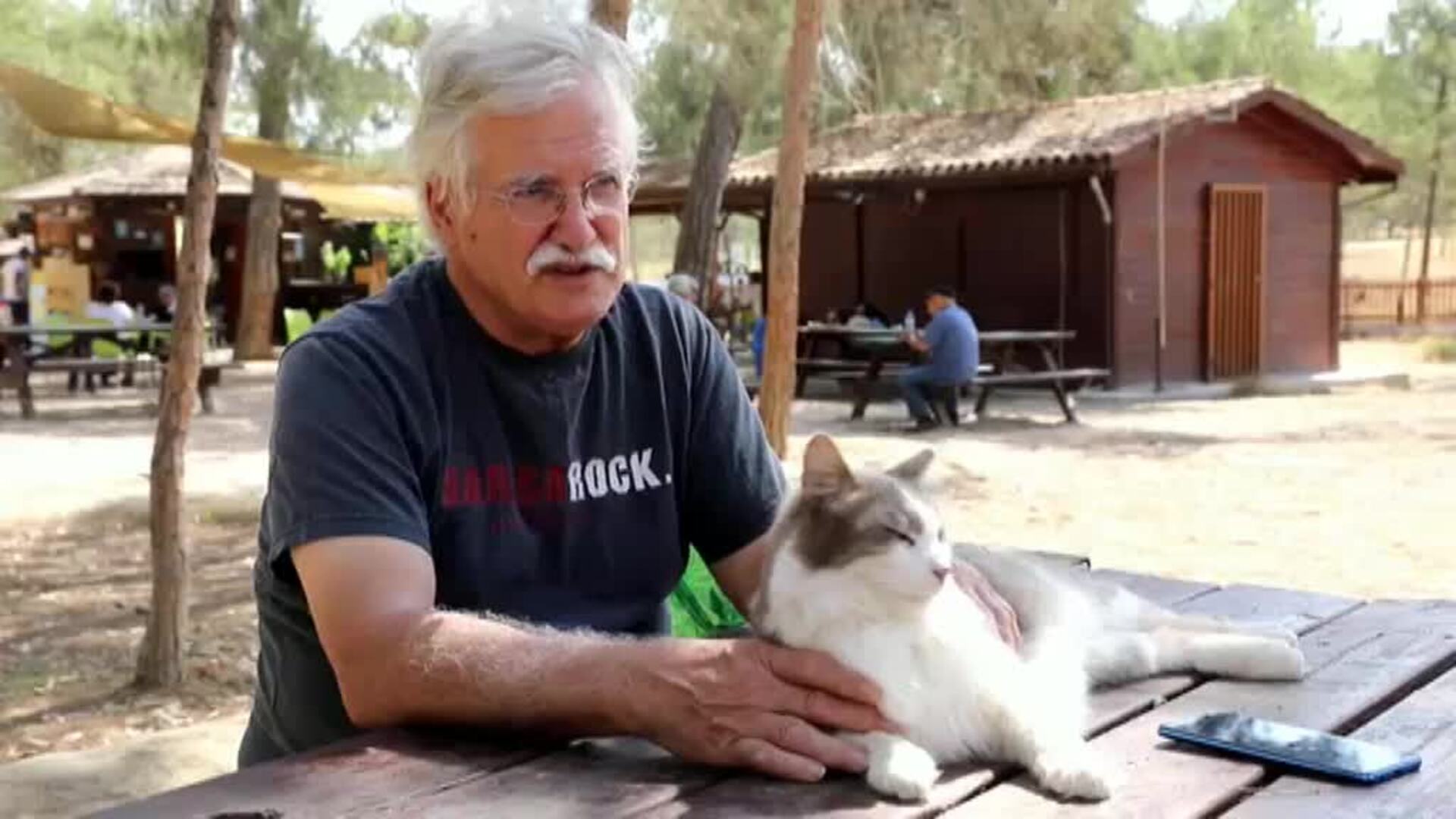 La superpoblación de gatos callejeros pone en jaque a Chipre