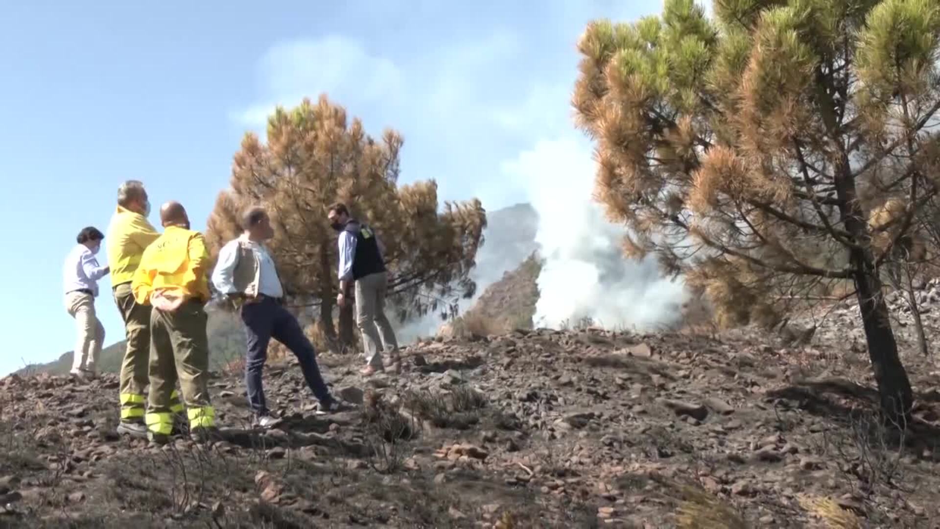 Gobierno andaluz dice que el fuego de Sierra Bermeja fue intencionado: &quot;Daremos con los autores&quot;