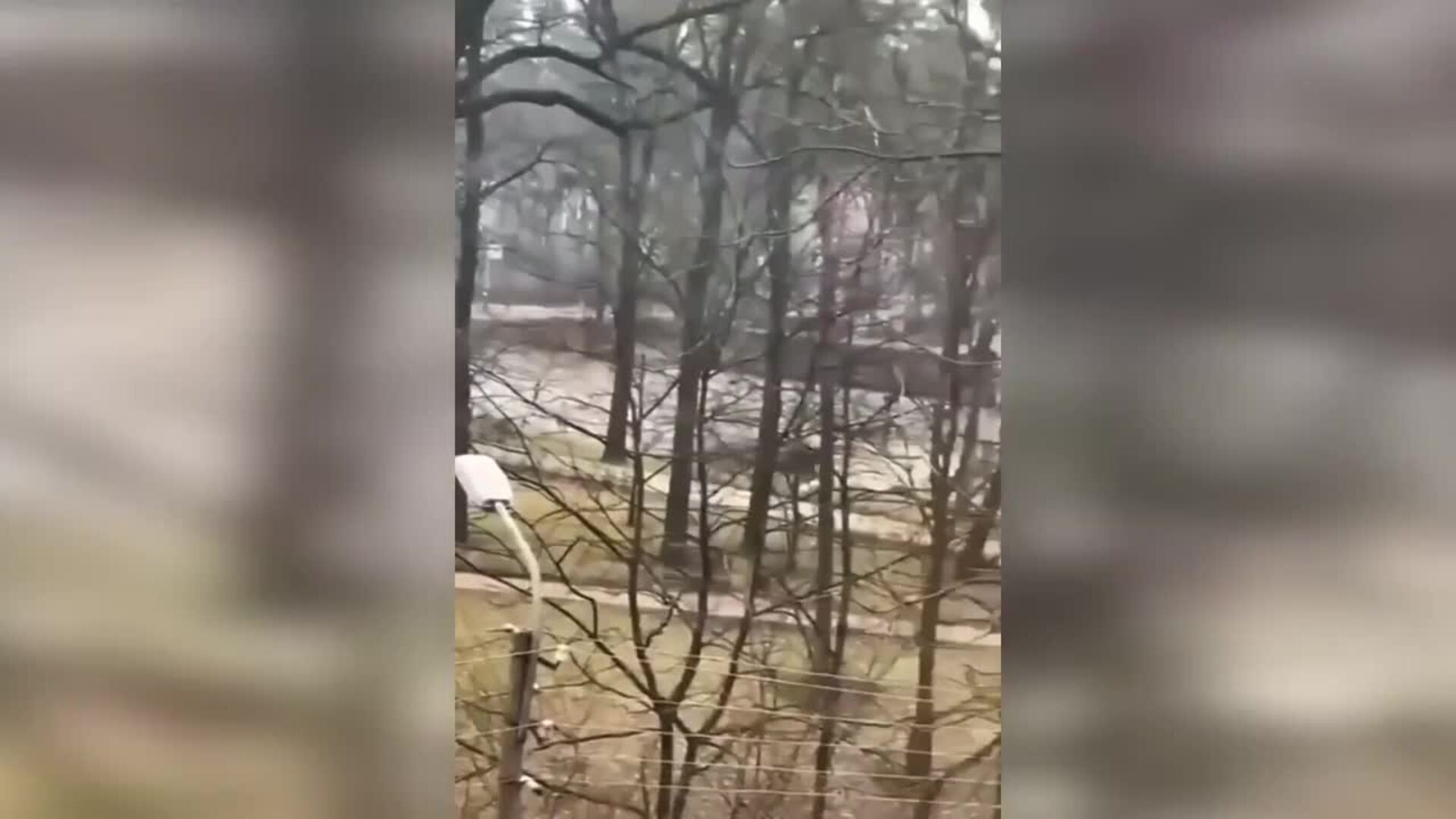 Ucrania resiste los ataques rusos y asegura que Kiev &quot;está controlada&quot;