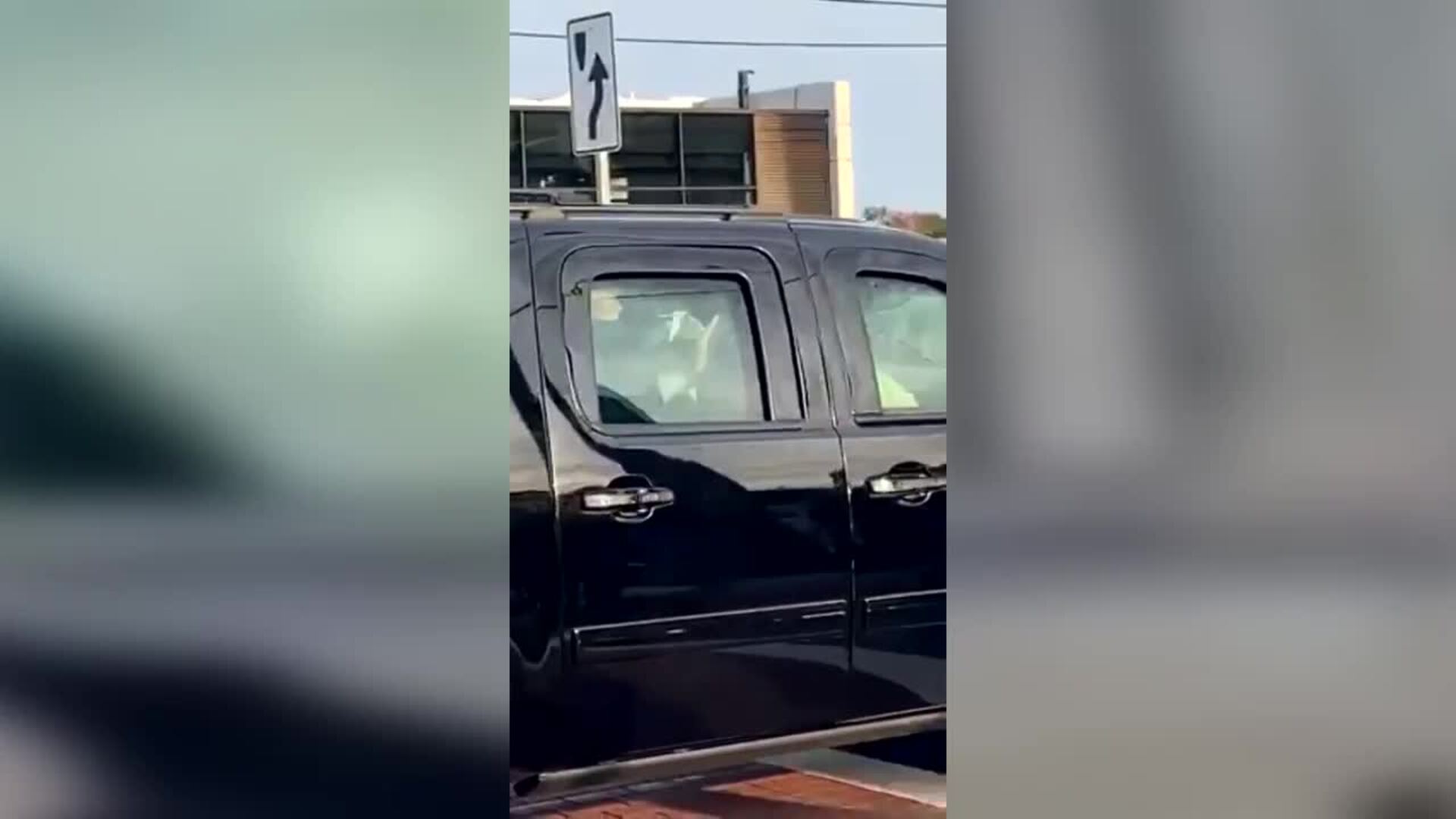 Trump sale del hospital para saludar a sus seguidores