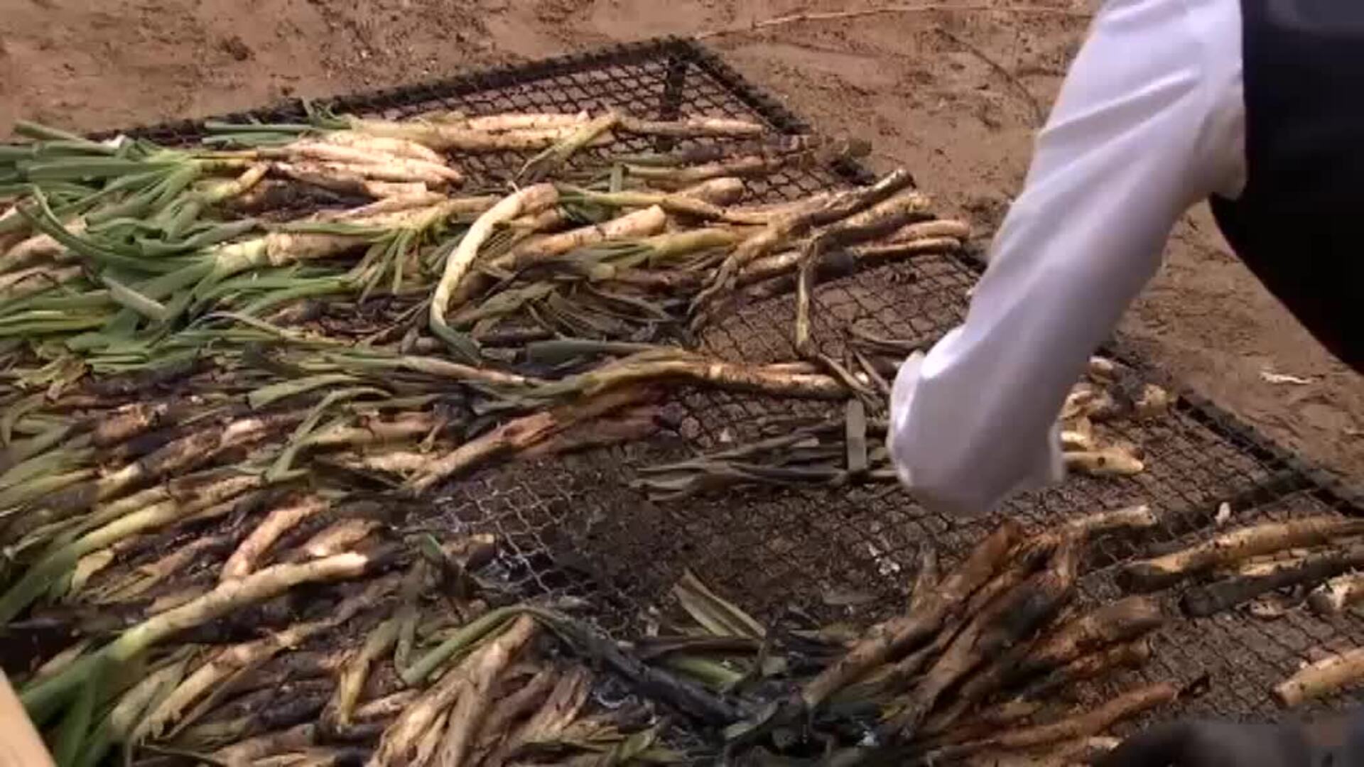 Valls da rienda suelta a la pasión culinaria por el calçot