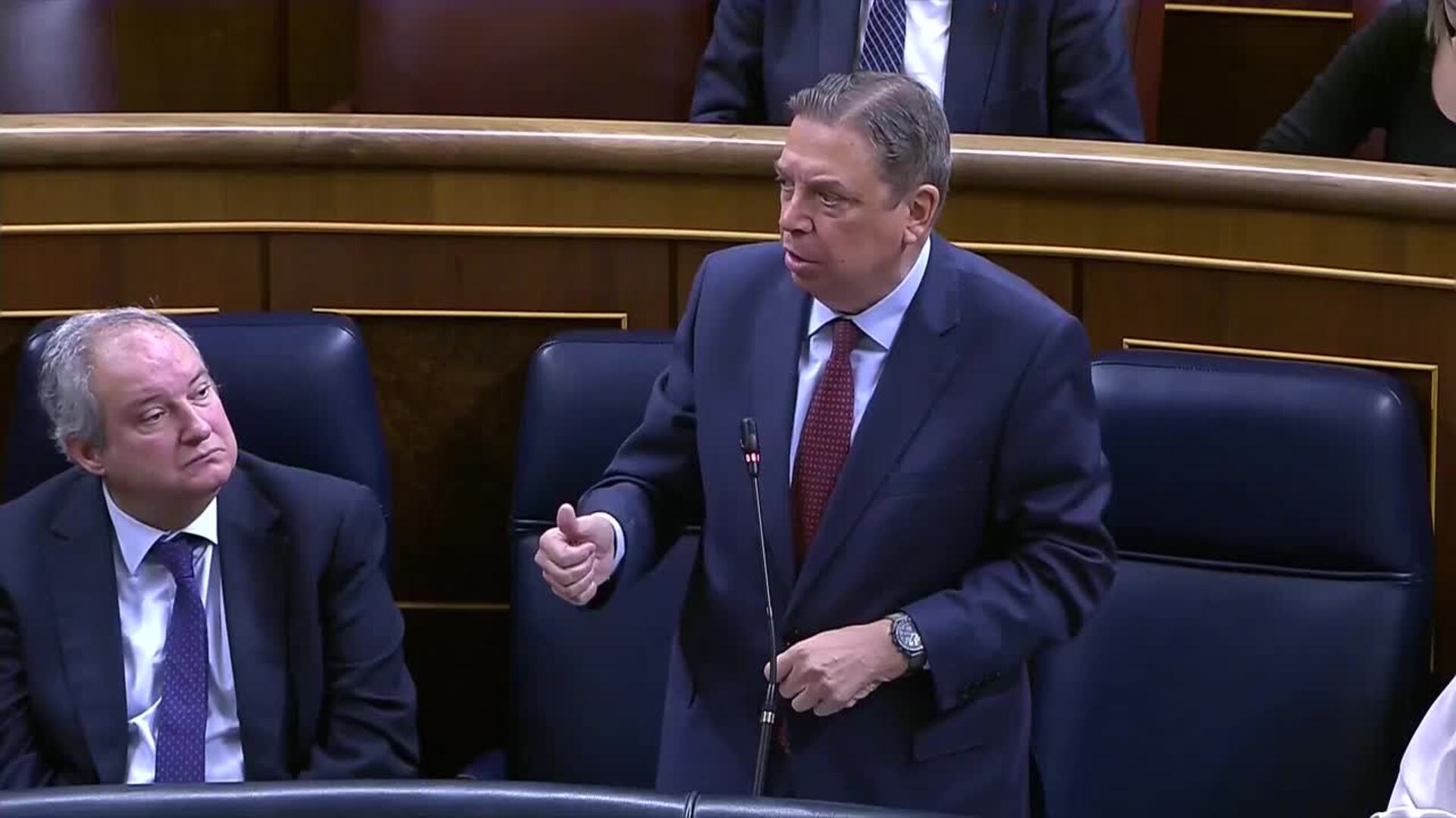 Planas pide al PP que se deje de "enmarañar" con la peste porcina