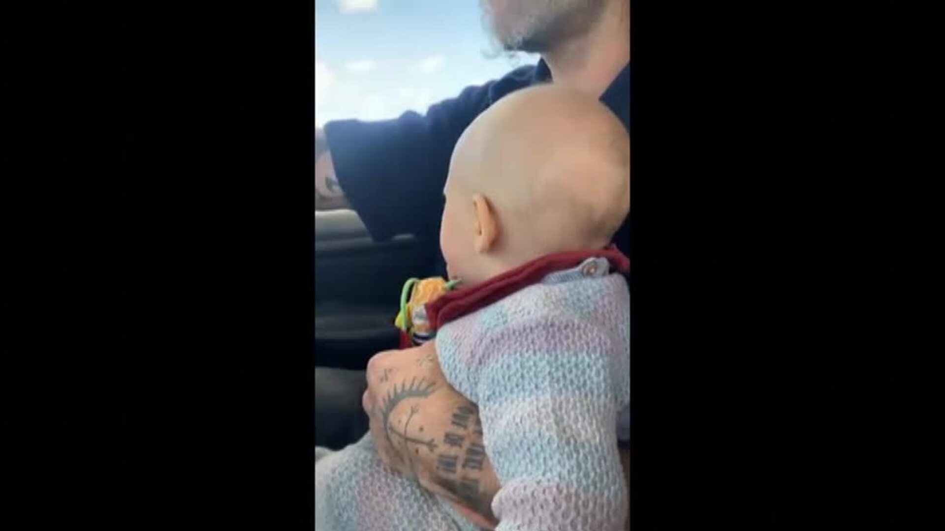 Un centenar de ballenas piloto mueren varadas en Nueva Zelanda