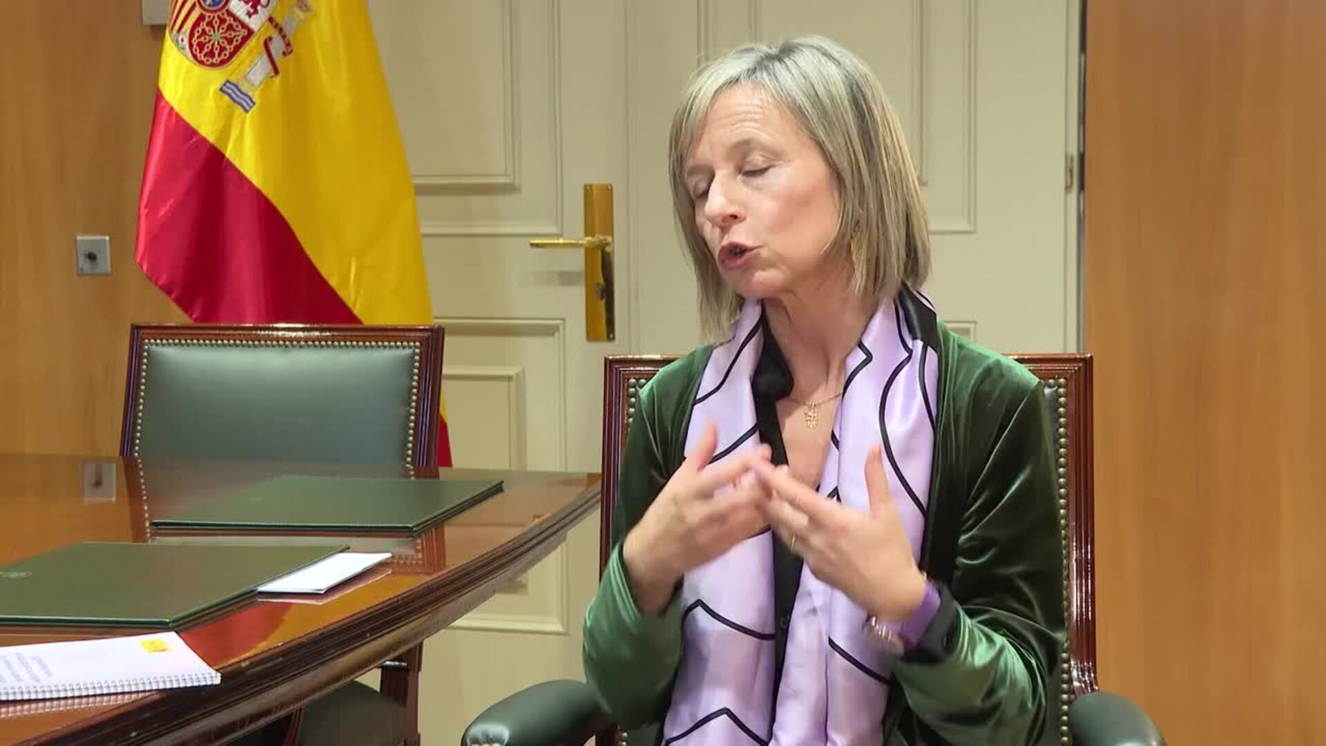 Observatorio contra la Violencia de Género: "No toda la protección pivota sobre la pulsera"