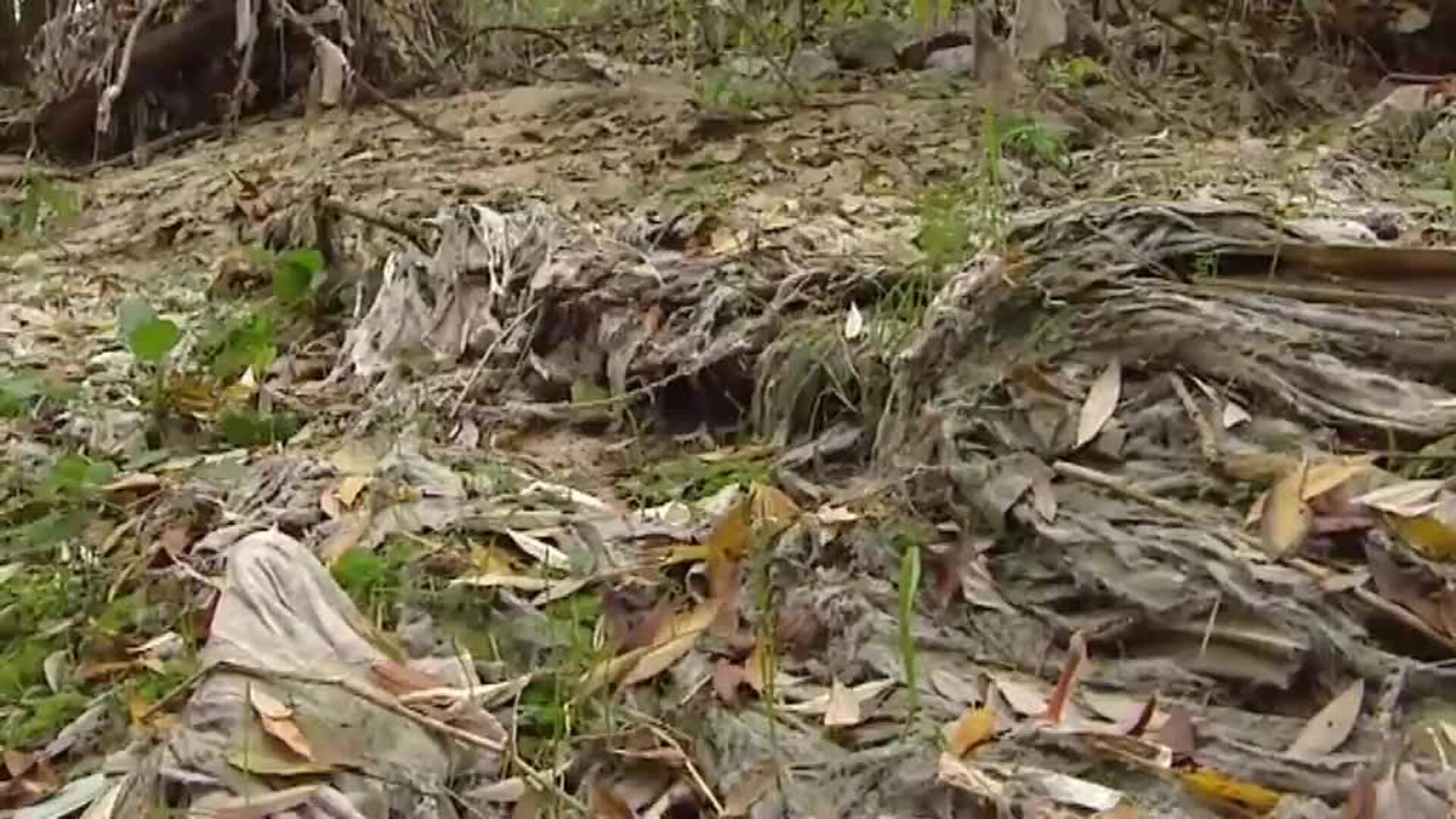 Miles de toallitas húmedas cubren por completo una zona de Madrid