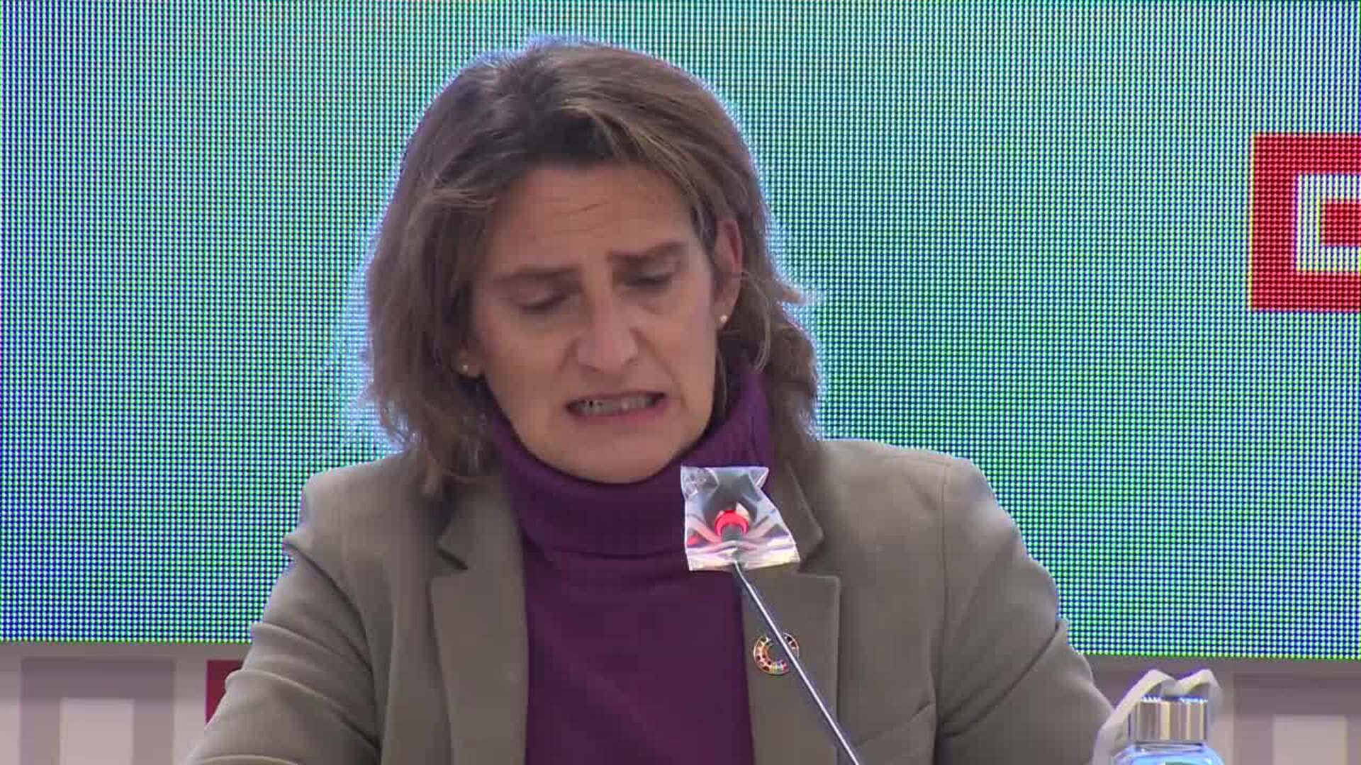 Ribera plantea posibilidad de &quot;ordenar la producción&quot; de las renovables