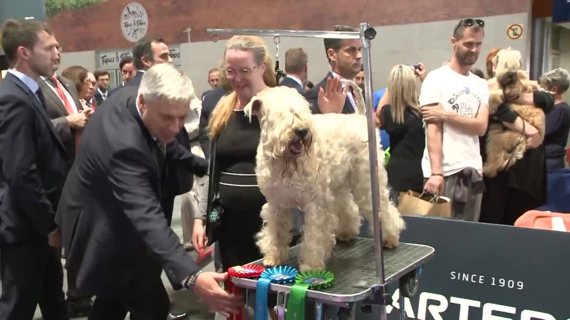 Las imágenes más tiernas de Doña Sofía en un evento canino
