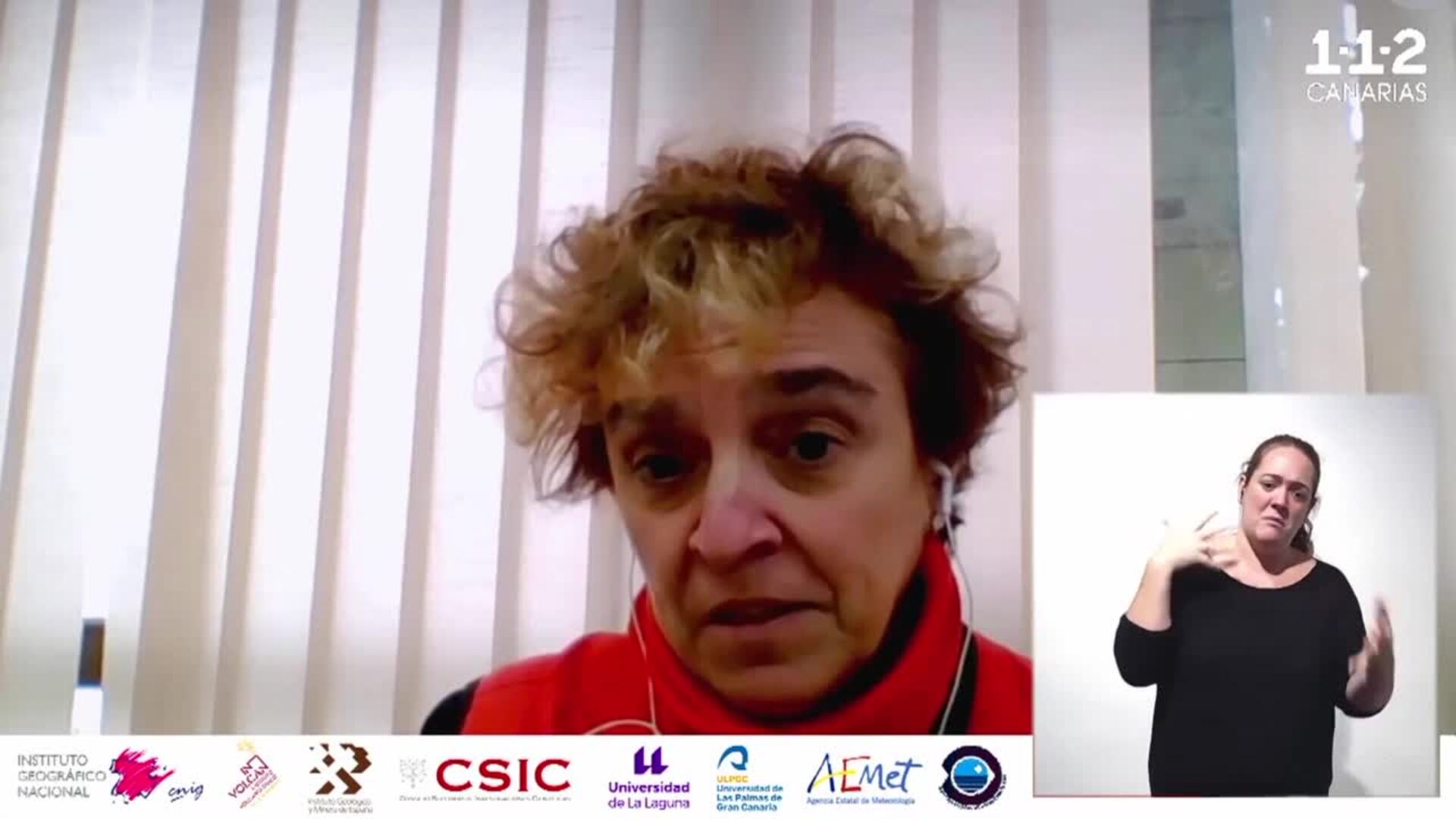 Blanco (IGN) admite que la erupción en Cumbre Vieja &quot;está detenida&quot;