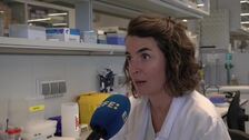 Descubren una alteración en la captación del colesterol en los pacientes con Alzheimer